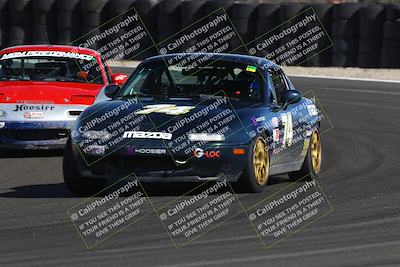 media/Mar-15-2025-CalClub SCCA (Sat) [[f66681bc18]]/Group 5/Race (Turn 6)/